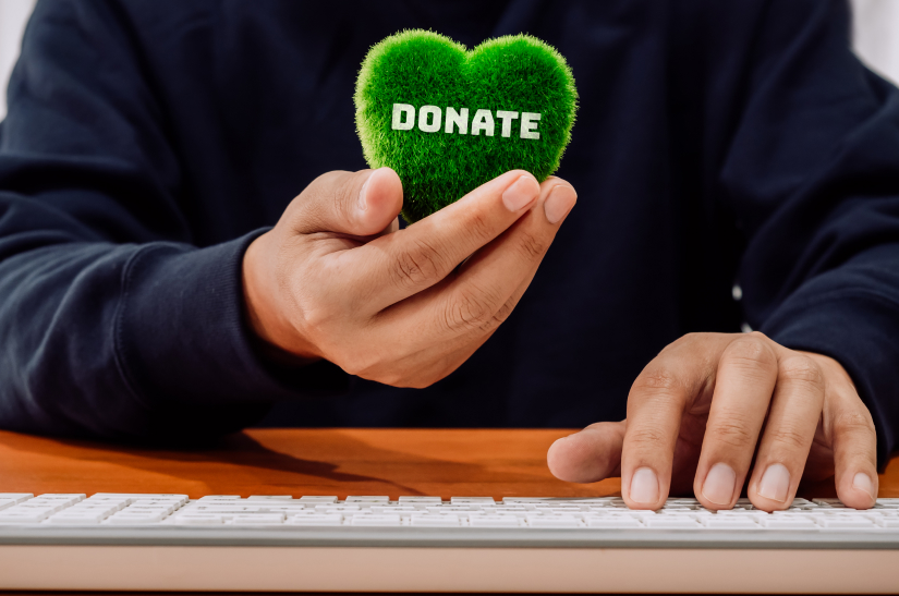 Donation Database Software